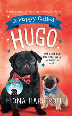 Fiona Harrison A Puppy Called Hugo обложка книги