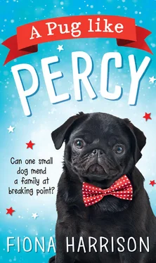 Fiona Harrison A Pug Like Percy: A heartwarming tale for the whole family обложка книги