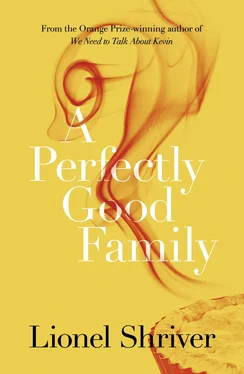Lionel Shriver A Perfectly Good Family обложка книги