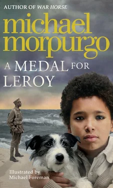 Michael Morpurgo A Medal for Leroy обложка книги