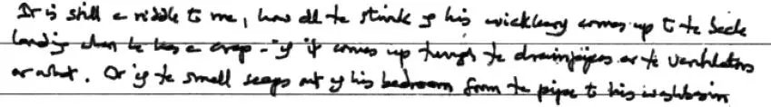 It is still a riddle to me how all the stink of his wicklery going to the - фото 15