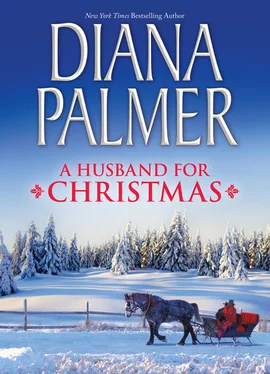 Diana Palmer A Husband for Christmas: Snow Kisses / Lionhearted обложка книги