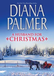 Diana Palmer - A Husband for Christmas - Snow Kisses / Lionhearted