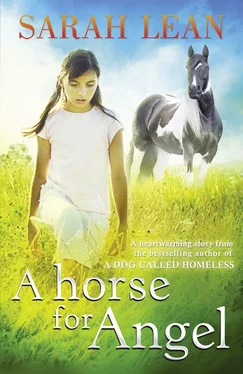 Sarah Lean A HORSE FOR ANGEL обложка книги