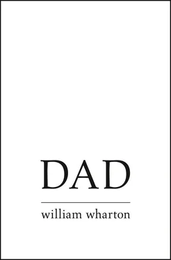 William Wharton Dad обложка книги