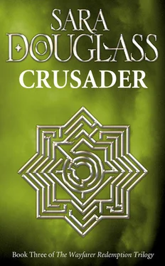 Sara Douglass Crusader обложка книги