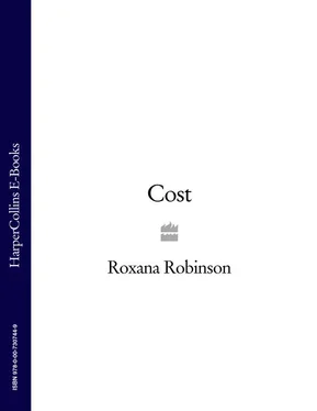 Roxana Robinson Cost обложка книги