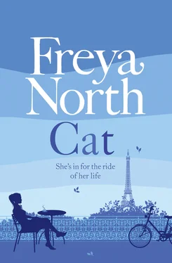 Freya North Cat обложка книги