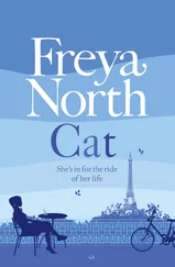Freya North - Cat