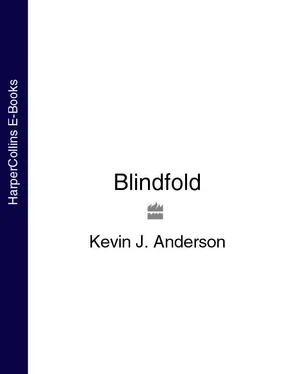 Kevin J. Anderson Blindfold обложка книги