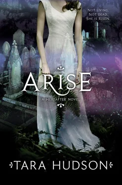 Tara Hudson Arise обложка книги