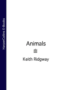 Keith Ridgway Animals обложка книги