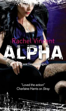 Rachel Vincent Alpha обложка книги