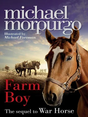 Michael Morpurgo Farm Boy обложка книги