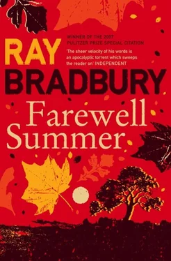 Ray Bradbury Farewell Summer обложка книги