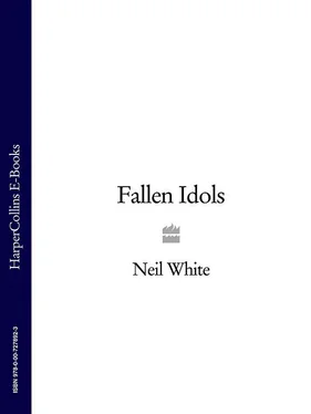 Neil White FALLEN IDOLS обложка книги