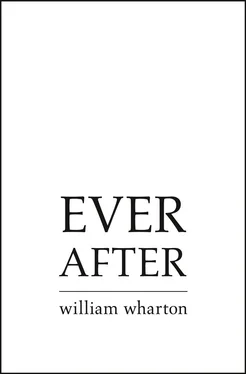 William Wharton Ever After обложка книги