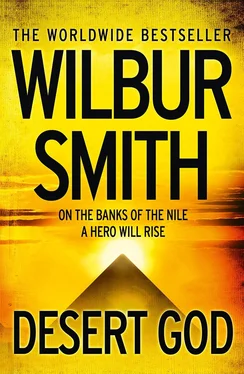 Wilbur Smith Desert God обложка книги