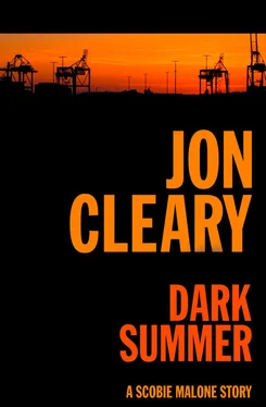 Jon Cleary Dark Summer обложка книги