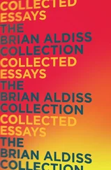 Brian Aldiss - Collected Essays