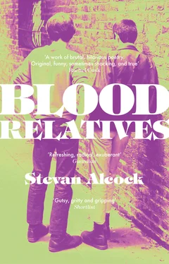 Stevan Alcock Blood Relatives обложка книги