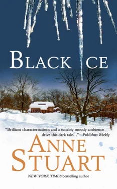 Anne Stuart Black Ice обложка книги