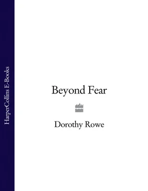 Dorothy Rowe Beyond Fear обложка книги