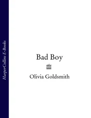 Olivia Goldsmith - Bad Boy