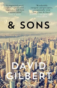 David Gilbert And Sons обложка книги