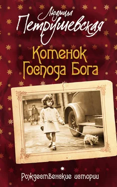 Людмила Петрушевская Котенок Господа Бога. Рождественские истории (сборник) обложка книги