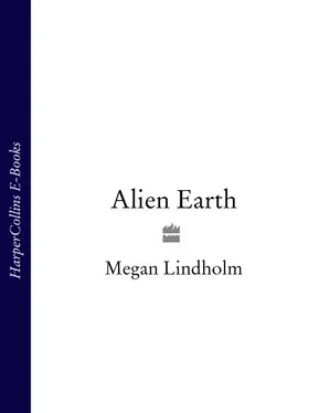 Megan Lindholm Alien Earth обложка книги