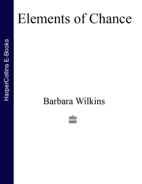 Barbara Wilkins Elements of Chance обложка книги