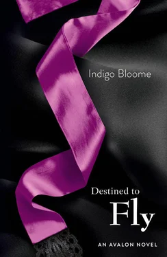 Indigo Bloome Destined to Fly обложка книги