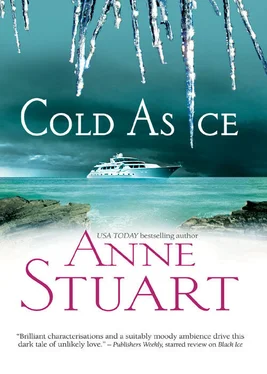 Anne Stuart Cold As Ice обложка книги