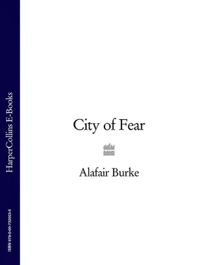 Alafair Burke City of Fear обложка книги