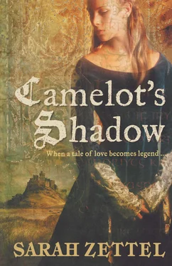 Sarah Zettel Camelot’s Shadow обложка книги