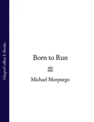 Michael Morpurgo - Born to Run