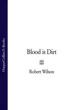 Robert Wilson Blood is Dirt обложка книги
