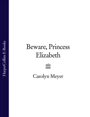 Carolyn Meyer Beware, Princess Elizabeth обложка книги