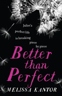 Melissa Kantor Better than Perfect обложка книги