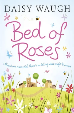 Daisy Waugh Bed of Roses обложка книги