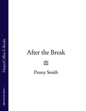 Penny Smith After the Break обложка книги