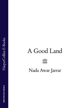 Nada Jarrar A Good Land обложка книги