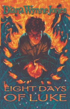 Diana Jones Eight Days of Luke обложка книги