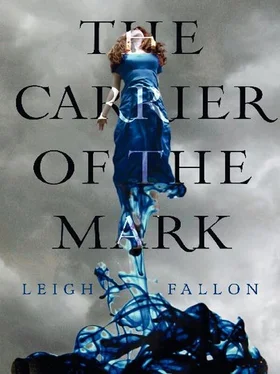 Leigh Fallon Carrier of the Mark обложка книги