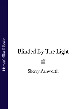 Sherry Ashworth Blinded By The Light обложка книги