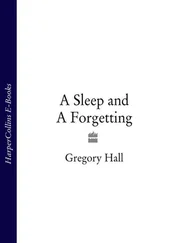 Gregory Hall - A Sleep and A Forgetting