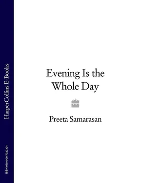 Preeta Samarasan Evening Is the Whole Day обложка книги