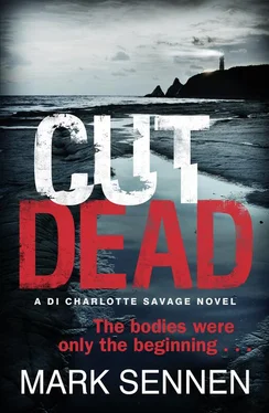 Mark Sennen CUT DEAD: A DI Charlotte Savage Novel обложка книги