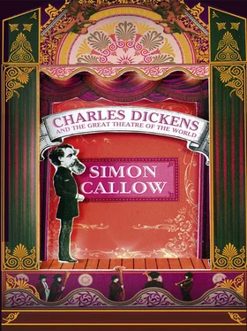 Simon Callow Charles Dickens and the Great Theatre of the World обложка книги